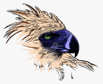 Thumb Image - Philippine Eagle Transparent Background, HD Png Download, Transparent PNG