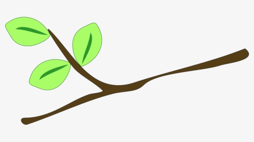 Branch, Leaves, Twig, Plant, Grow, Nature, Ecology, - Twig Clipart, HD Png Download, Transparent PNG