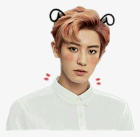 #chanyeol #exo #cute - Sticker Chanyeol, HD Png Download, Transparent PNG
