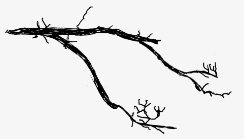 Transparent Tree Branch Clipart Black And White - Tree Branch No Background, HD Png Download, Transparent PNG