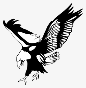 No Background, Bird, Eagle, Transparent Background - Bird Of Prey Clipart, HD Png Download, Transparent PNG