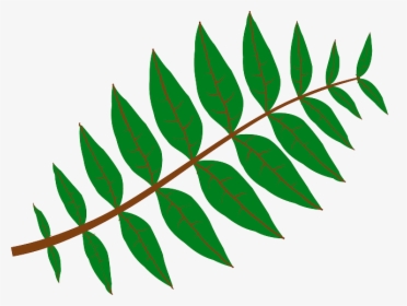 Branch Leaves, Plant, Green, Nature, Twig, Branch - Leaf Clip Art, HD Png Download, Transparent PNG