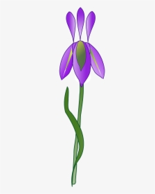 Iris Flower Purple Plant Garden Png Image Iris- - Clip Art, Transparent Png, Transparent PNG