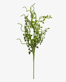 28 - Grass, HD Png Download, Transparent PNG