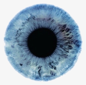 Eye Color Png - Blue Eyes Texture, Transparent Png, Transparent PNG