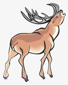 Angry, Deer, Wild, Animal, Antlers - Angry Deer Cartoon, HD Png Download, Transparent PNG