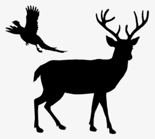 White-tailed Deer Reindeer Elk - Deer Silhouette Png, Transparent Png, Transparent PNG