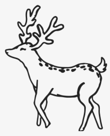 Buck Outline Buck Deer Rubber Stamp Outline Antler - Deer Clipart Outline, HD Png Download, Transparent PNG