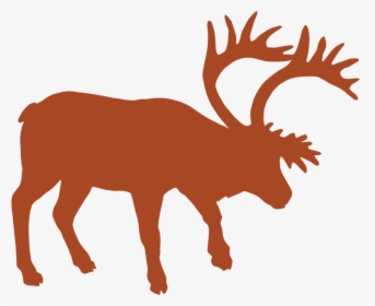Animal Track Vector Graphics Muskox Reindeer - Silhouette Musk Ox, HD Png Download, Transparent PNG