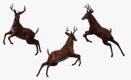 Buck 10 By Free Stock - Jumping Deer Silhouette, HD Png Download, Transparent PNG