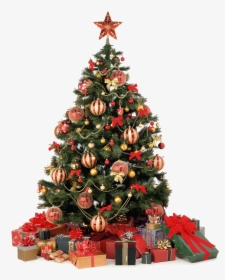 Christmas Home Png Clipart - Transparent Christmas Tree Png, Png Download, Transparent PNG