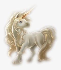 Baby Unicorn, HD Png Download, Transparent PNG