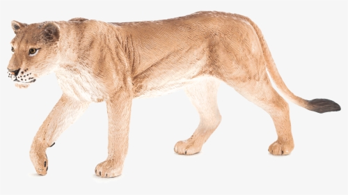 Mojo Lion Cub Toy, HD Png Download, Transparent PNG