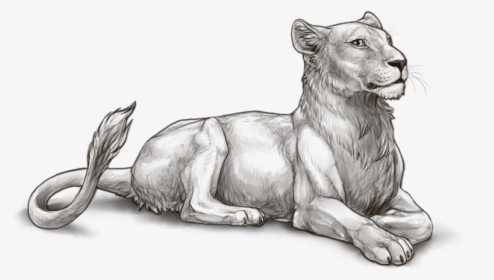 Lioness And Cubs Png, Transparent Png, Transparent PNG