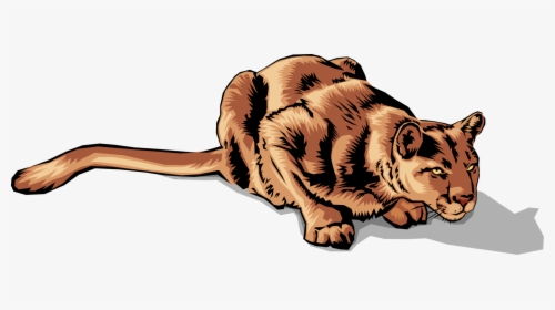 Vector Illustration Of Large Carnivore African Lioness - Bengal Tiger, HD Png Download, Transparent PNG