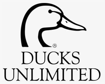 Ducks Unlimited Logo Png Transparent - Ducks Unlimited Logo Svg, Png Download, Transparent PNG