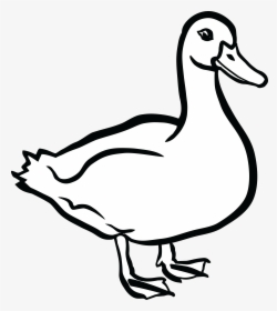 Duck Black And White - Clip Art Black And White Duck, HD Png Download, Transparent PNG