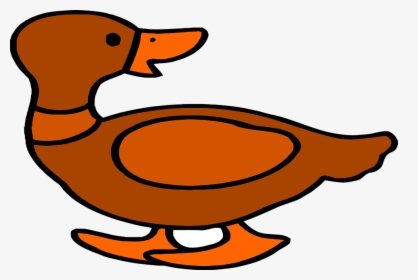 Duck, Animal, Ducklings, Ducks - Duck, HD Png Download, Transparent PNG