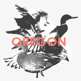 Transparent Oregon Ducks Png - Turkey, Png Download, Transparent PNG