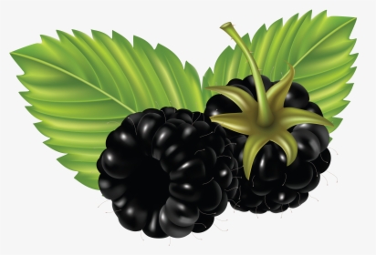 Food Clipart Png, Transparent Png, Transparent PNG