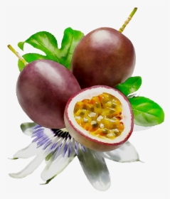 Food Fruit Passion Lipstick Cosmetics Png Free Photo - Passion Fruit Paint Png, Transparent Png, Transparent PNG