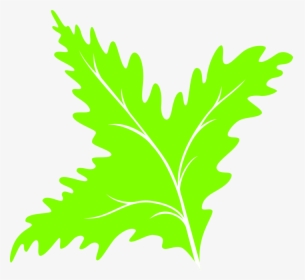 Transparent Green Leaf Icon Png - Clip Art, Png Download, Transparent PNG