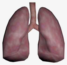 Clip Art Human Opengameart Org Lung - Real Human Lung Png, Transparent Png, Transparent PNG