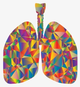 System - Respiratory System In Art, HD Png Download, Transparent PNG