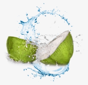 Coconut Water Transparent Background , Png Download - Coconut Water Png, Png Download, Transparent PNG