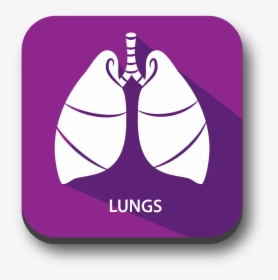 Signs Of Blood Clot In Lungs, HD Png Download, Transparent PNG