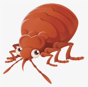Bed Bug Png - Cartoon Bug Transparent Background, Png Download, Transparent PNG
