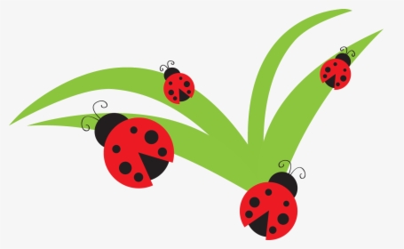 Free Bug Cliparts Download - Ladybug On A Leaf Clipart, HD Png Download, Transparent PNG
