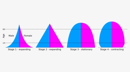 4 Types Of Population Pyramids Pdf, HD Png Download, Transparent PNG