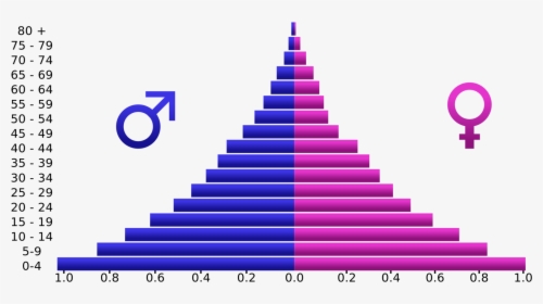 Age Pyramid Of India, HD Png Download, Transparent PNG