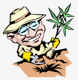 Vector Illustration Of Gardener Plants New Tree - Man Planting Trees Caricature, HD Png Download, Transparent PNG