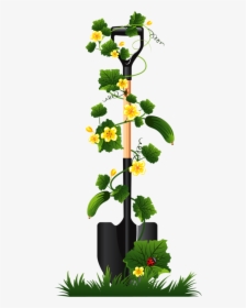 Image Library Library Gardener Clipart Plant Seedling - Cucumber Plant Png, Transparent Png, Transparent PNG