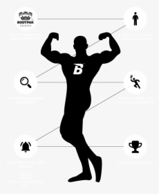 Muscle Muscular System Human Body Biceps - Bodybuilder Silhouette Png, Transparent Png, Transparent PNG