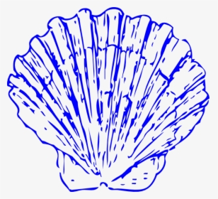 Bright Blue Shells Svg Clip Arts - Scallop Shell Clip Art, HD Png Download, Transparent PNG