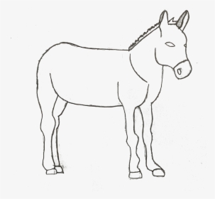 Mane, HD Png Download, Transparent PNG