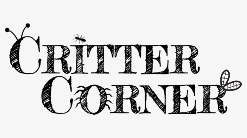 Critter Corner Text - Giias Educare, HD Png Download, Transparent PNG