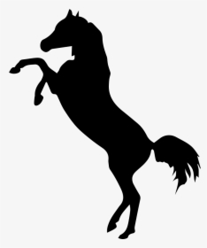 Transparent Horse Clipart - Black Horse Standing On Two Legs, HD Png Download, Transparent PNG