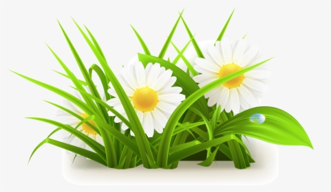 Daisy Clipart Grass - Grass Flowers Vector Png, Transparent Png, Transparent PNG