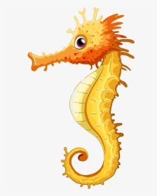 Coral Clipart Submerged - Colour Is A Seahorse, HD Png Download, Transparent PNG