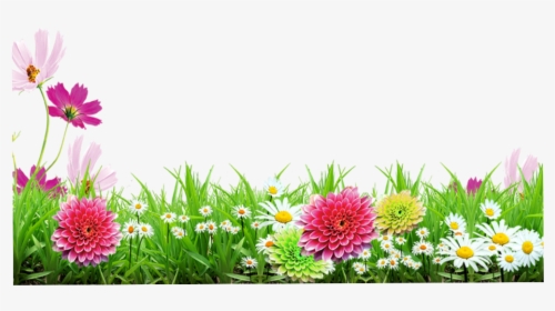 #mq #grass #green #flowers #flower #garden #nature - Background Flower Images Png, Transparent Png, Transparent PNG
