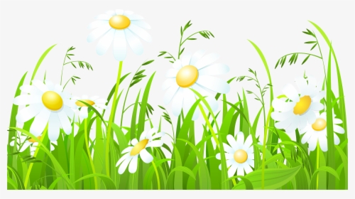 Clipart Sun Grass - Free Daisy Border Clipart, HD Png Download, Transparent PNG