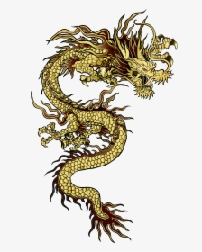 Dragon Tattoo Golden Vector Images over 260