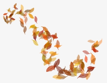 Pocahontas Leaves Png - Fall Leaves Illustration Png, Transparent Png, Transparent PNG