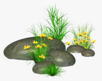 Free Png Stones With Grass And Yellow Flowers Png Images - Grass Stone Png, Transparent Png, Transparent PNG