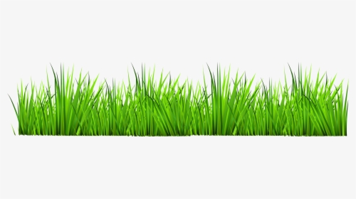 Grass With Flowers Clipart Png - Grass Clipart, Transparent Png, Transparent PNG