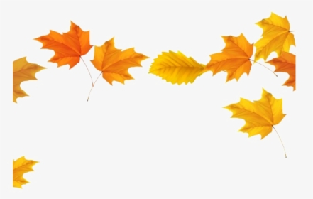 Fall Leaves Png Transparent Image - Fall Leaves Transparent Background, Png Download, Transparent PNG